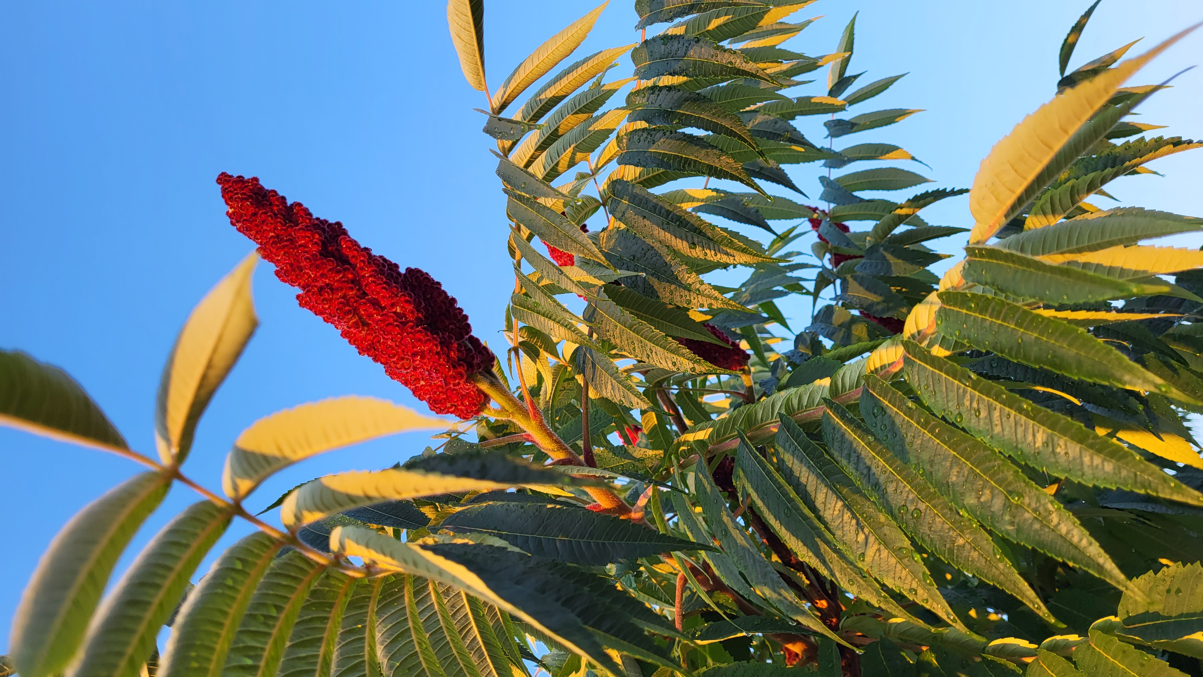 Зображення з галереї