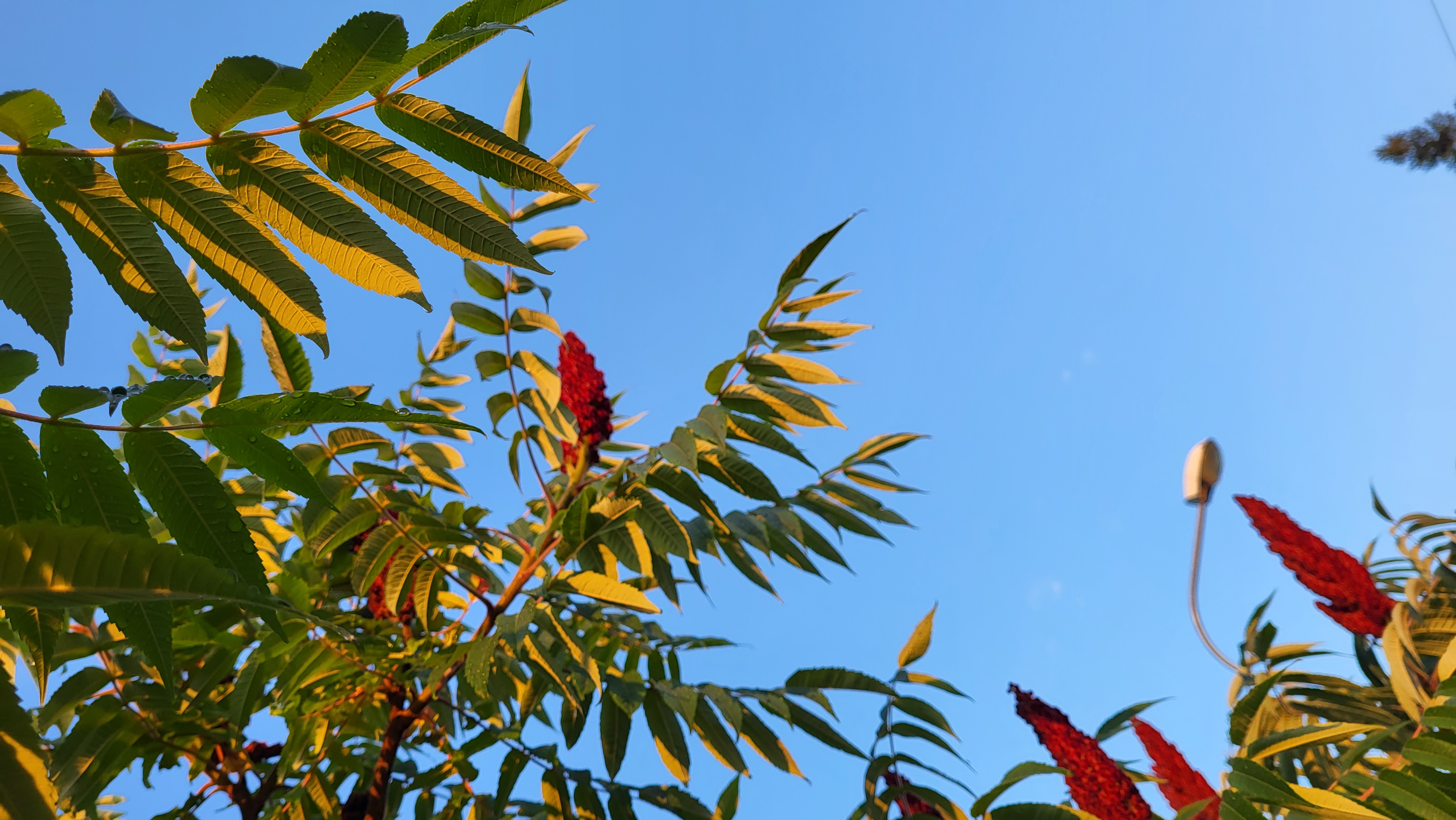 Зображення з галереї