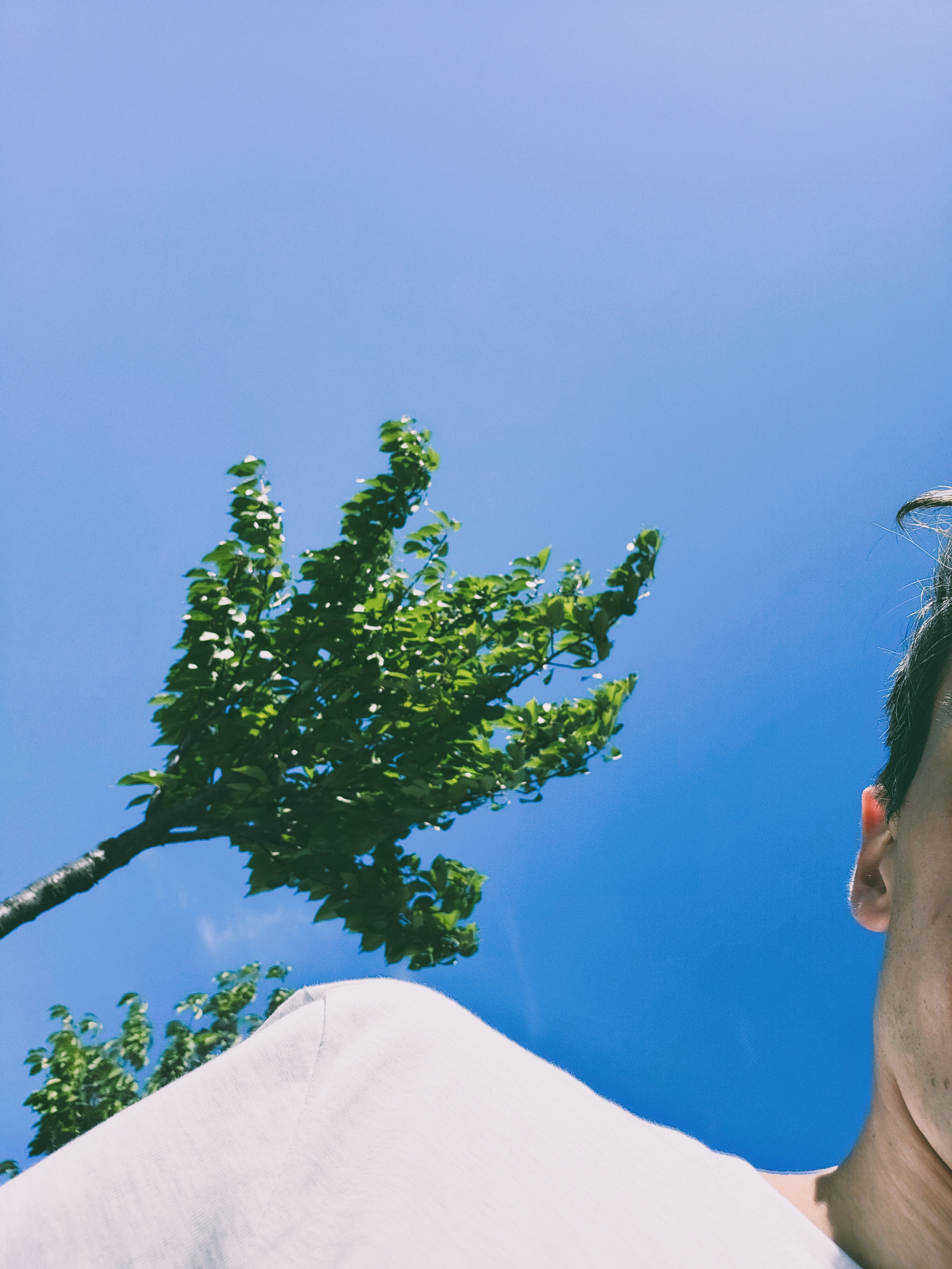 Зображення з галереї